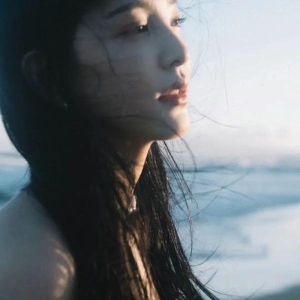 大盗明星梦